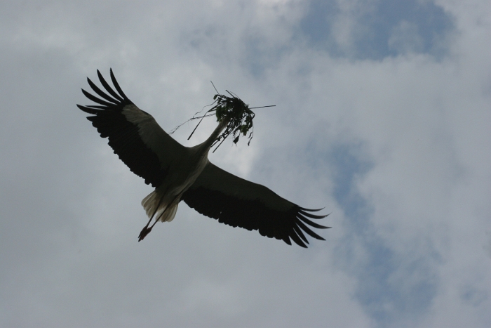 Zoo de Bale - 258